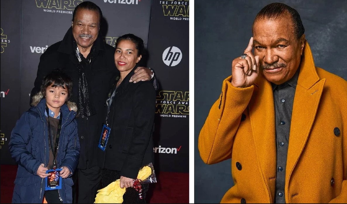 Teruko Nakagami: Billy Dee Williams's Wife's Untold Story